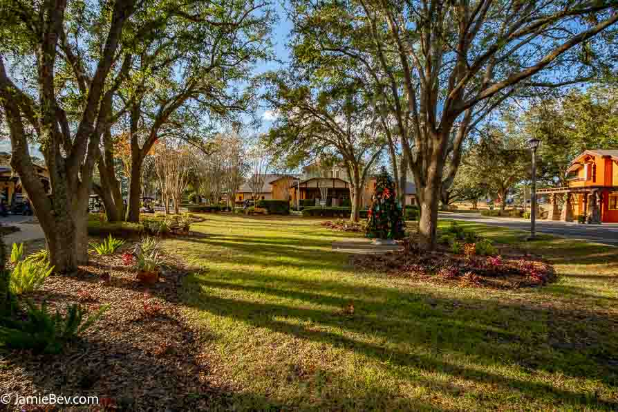 Arlington Ridge isn’t just a neighborhood—it’s a lifestyle. This gated community caters to active adults seeking the perfect balance of tranquility and activity, offering:
