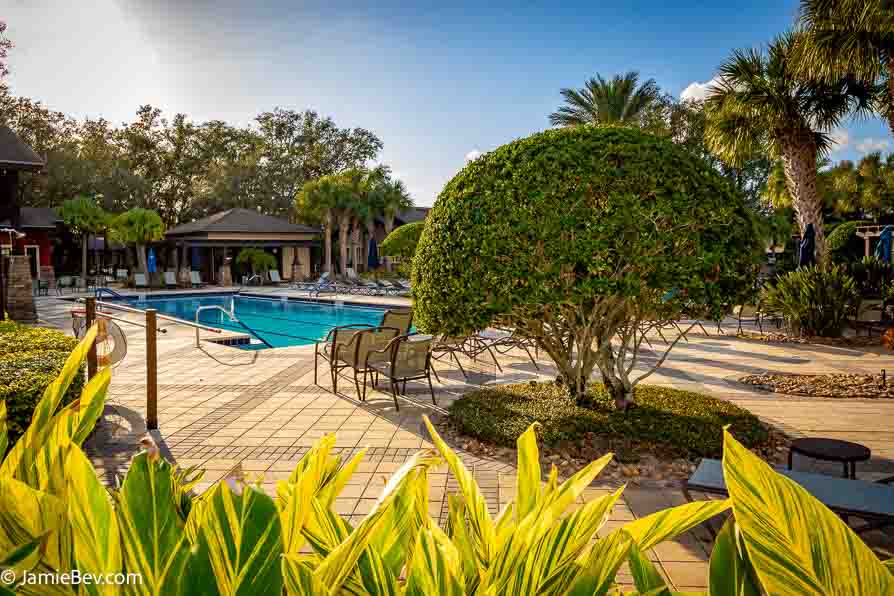 Arlington Ridge isn’t just a neighborhood—it’s a lifestyle. This gated community caters to active adults seeking the perfect balance of tranquility and activity, offering:
