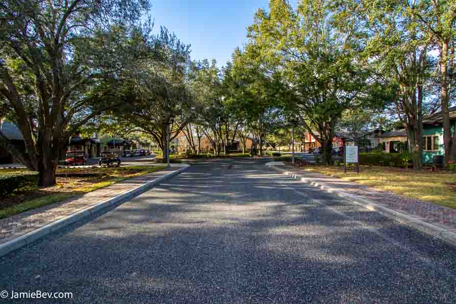 Arlington Ridge isn’t just a neighborhood—it’s a lifestyle. This gated community caters to active adults seeking the perfect balance of tranquility and activity, offering: