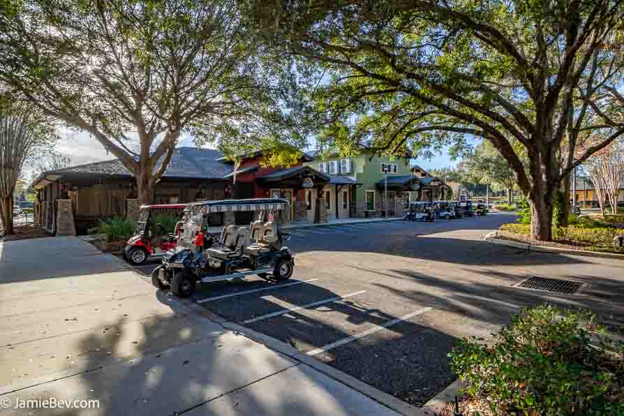 Arlington Ridge isn’t just a neighborhood—it’s a lifestyle. This gated community caters to active adults seeking the perfect balance of tranquility and activity, offering: