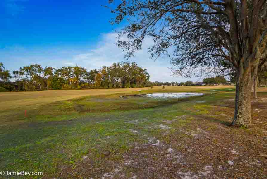 Welcome to 26670 Otter Creek Lane, a beautifully updated home in Arlington Ridge.