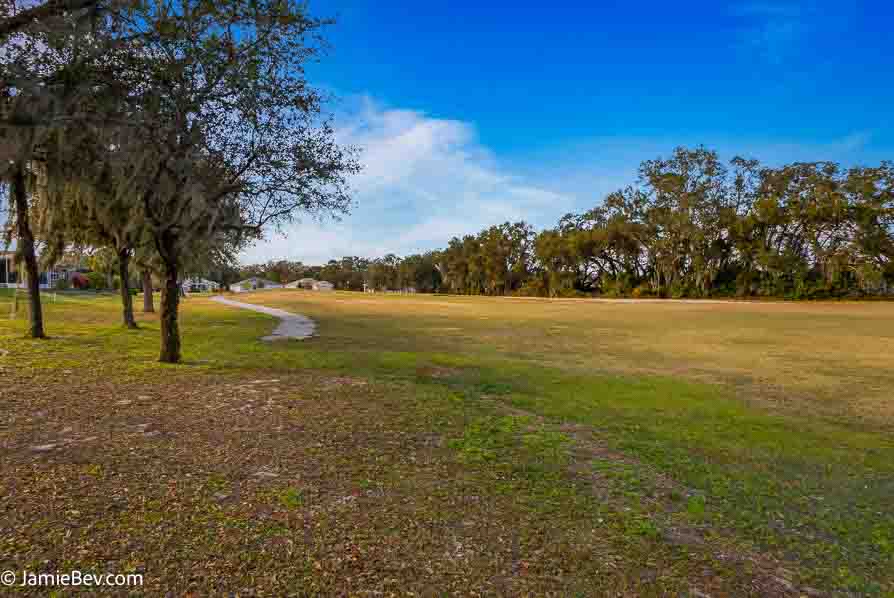 Welcome to 26670 Otter Creek Lane, a beautifully updated home in Arlington Ridge.