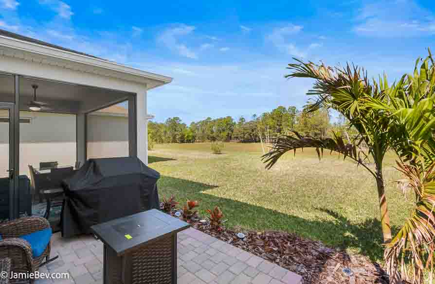 A beautifully designed home in the Serenoa Lakes community, featuring modern finishes and a spacious layout with no rear neighbors.