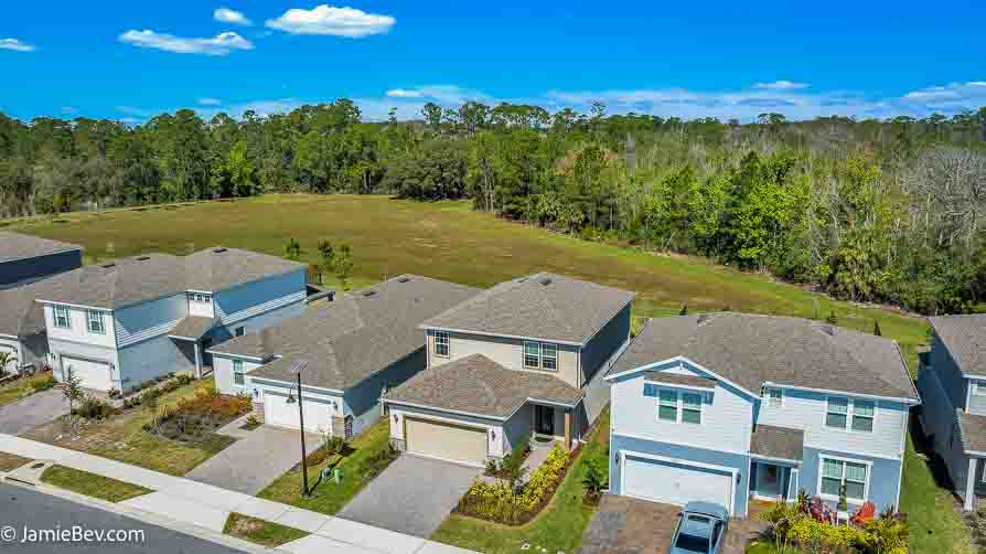 Front exterior of 17291 Saw Palmetto Ave, a 4-bedroom home in Serenoa Lakes, Clermont, FL.