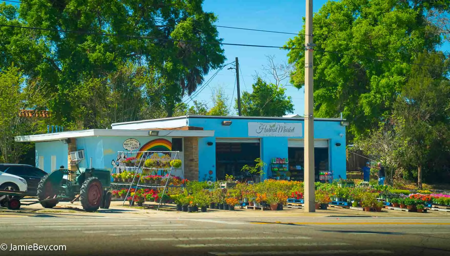 Harvest Market Explore Clermont Florida With Jamie Bevelacqua